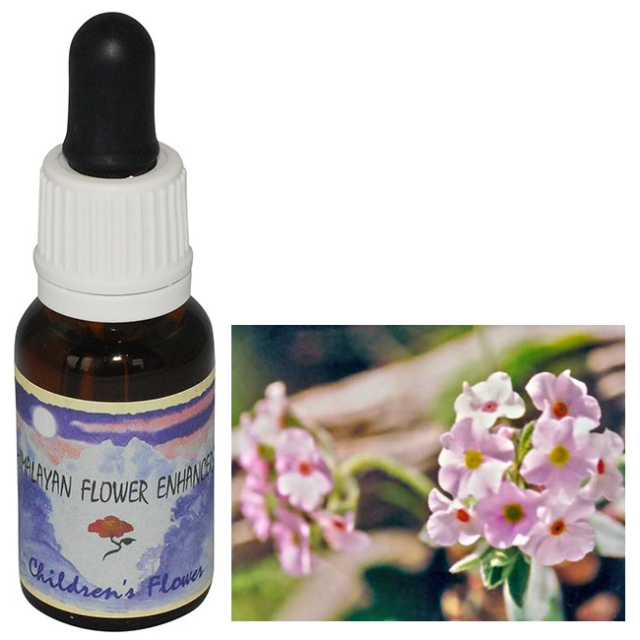 チルドレンズフラワー