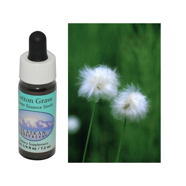 専用】サイキックプロテクションペンダント（パープル）ブッシュ　フラワーエッセンス 楽天市場】サイキックプロテクション（パープル・子供用・丸形