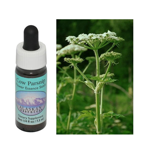 カウパースニップ