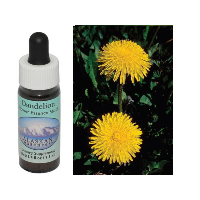 アラスカンエッセンスのフラワーエッセンス 【ベルチェレスタ】