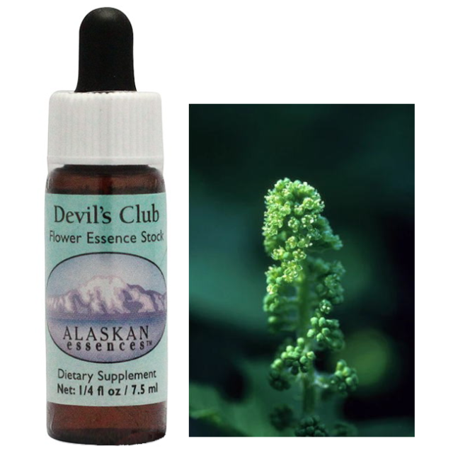 デビルズクラブ