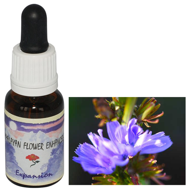 エクスパンション