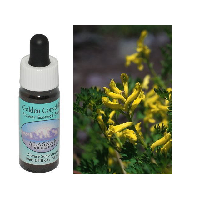 予約】ブラックトルマリン/マスタークォーツアラスカンエッセンスフラワーエッセンス 予約】ブラックトルマリン/マスタークォーツアラスカン