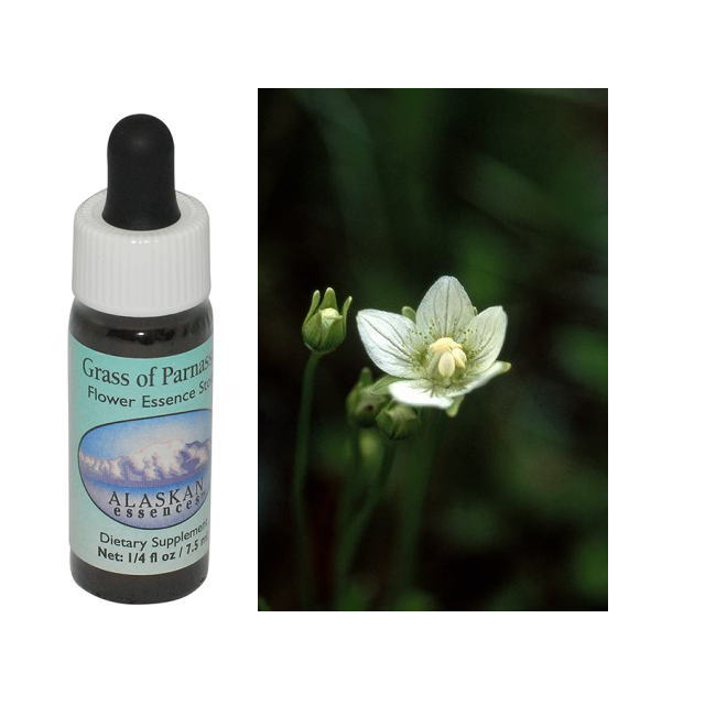 アラスカンエッセンスのフラワーエッセンス 【ベルチェレスタ】