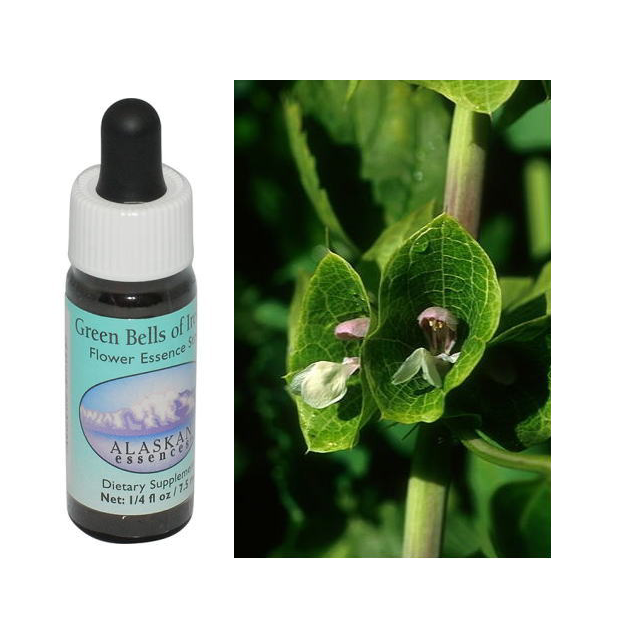 アンセストラルヒーリング（先祖の癒し）アンジェリック