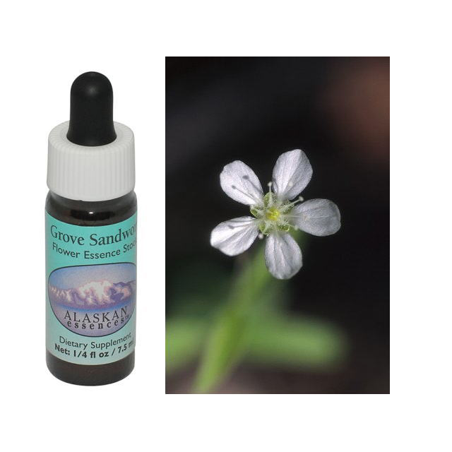 ストリングス ヒマラヤンエンハンサーズ チャクラキット