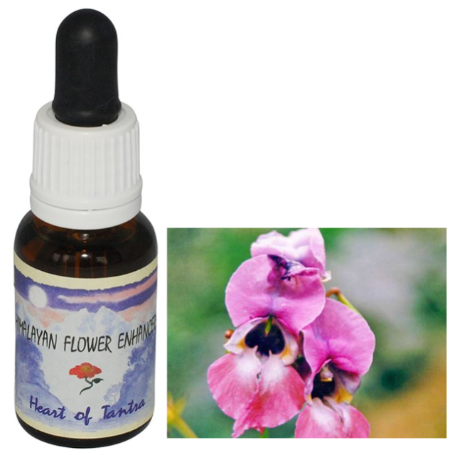 ハートオブタントラ