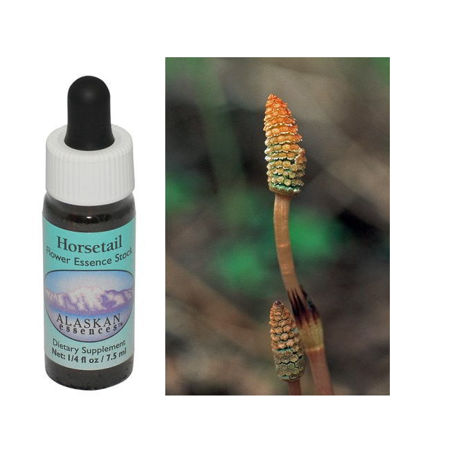 ホーステイル アラスカンエッセンス フラワーエッセンス 【ベル