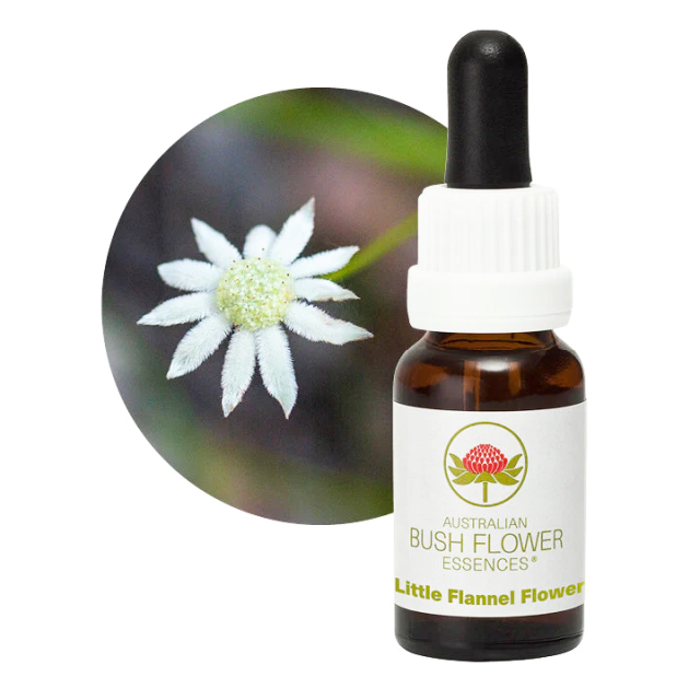 フィンドホーンフラワーエッセンス２本セット　ウエサク　エグザルテーション シーズナルアフェクション フィンドホーン コンビネーション