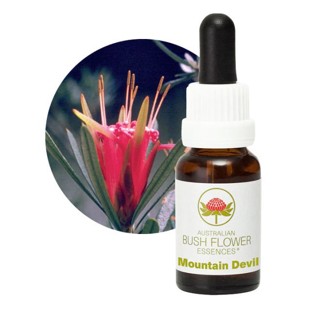 【専用】マウンテンデビル オーストラリアンブッシュ　フラワーエッセンス マウンテンデビル オーストラリアンブッシュフラワー シングル