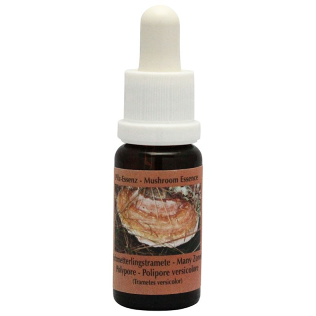 メニゾーンドポリポア