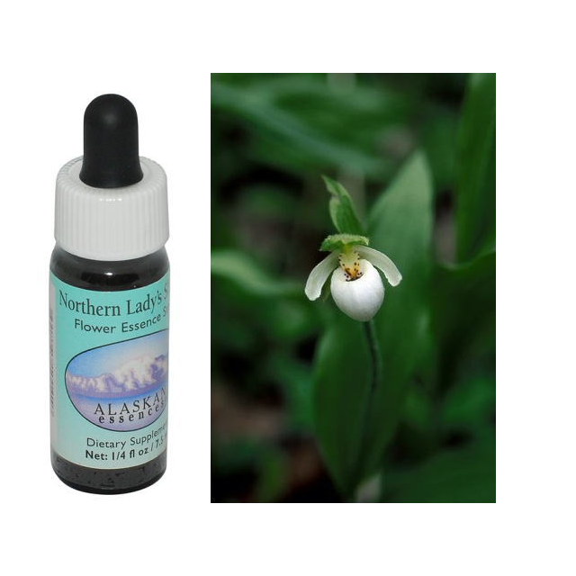 ノーザンレディースリッパー