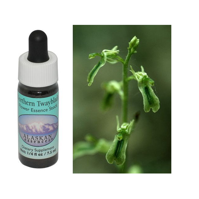 ノーザントウェイブレード