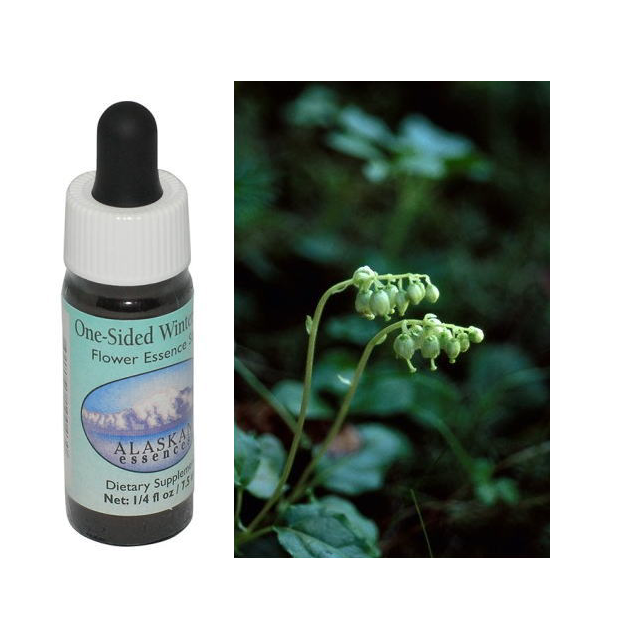 【専用】ワンサイデッドウィンターグリーン アラスカン　フラワーエッセンス　他 ワンサイデッドウィンターグリーン アラスカンエッセンス