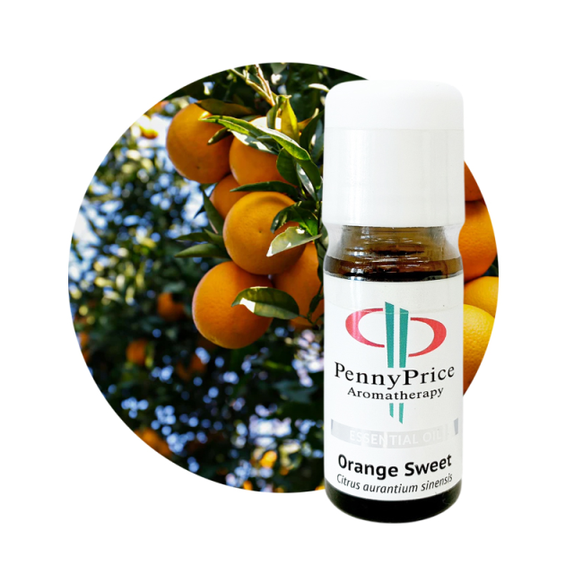 ペニープライス　オレンジスイート