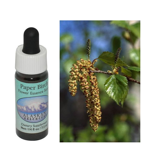 マウンテンデビル オーストラリアンブッシュフラワー シングル 世界の