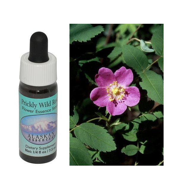 アラスカンエッセンスのフラワーエッセンス 【ベルチェレスタ】