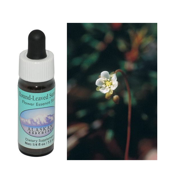 ラウンドリーブドサンデュー