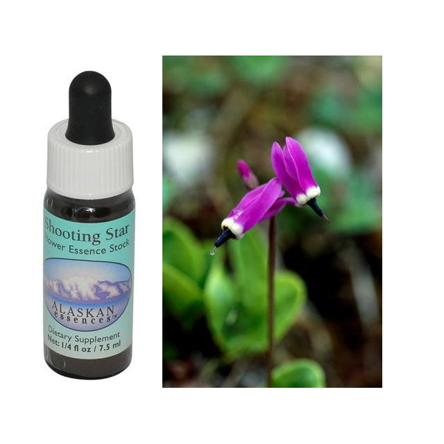 ラブラドールティー アラスカンエッセンス フラワーエッセンス 【ベル