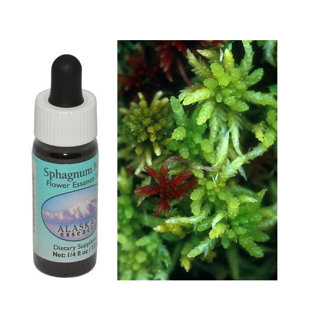 【予約品】◇オリビン(ペリドット)　コルテPHIエッセンス　フラワーエッセンス 予約品】◇オリビン(ペリドット) コルテPHIエッセンス