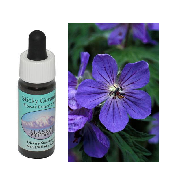 【予約品】ラブラドールティー 　アラスカンエッセンス　フラワーエッセンス ラブラドールティー アラスカンエッセンス フラワーエッセンス