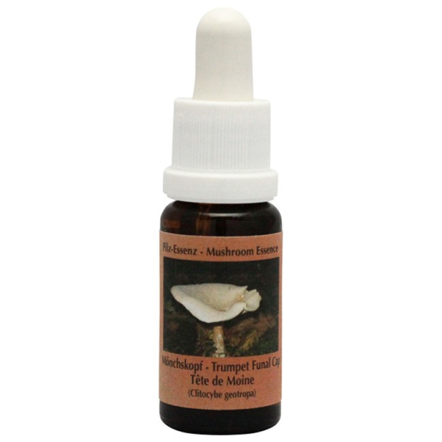 トランペットファンネルカップ