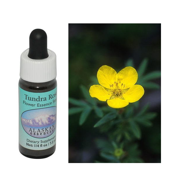 ワンサイデッドウィンターグリーン アラスカンエッセンス