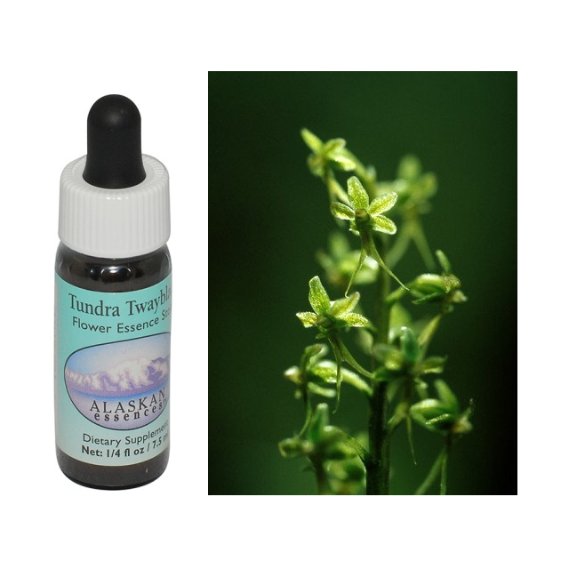 ベルーガ(シロイルカ)のペンダントとフラワーエッセンス　コルテPHI 楽天市場】【お買い物マラソン最大2222円クーポン配布中