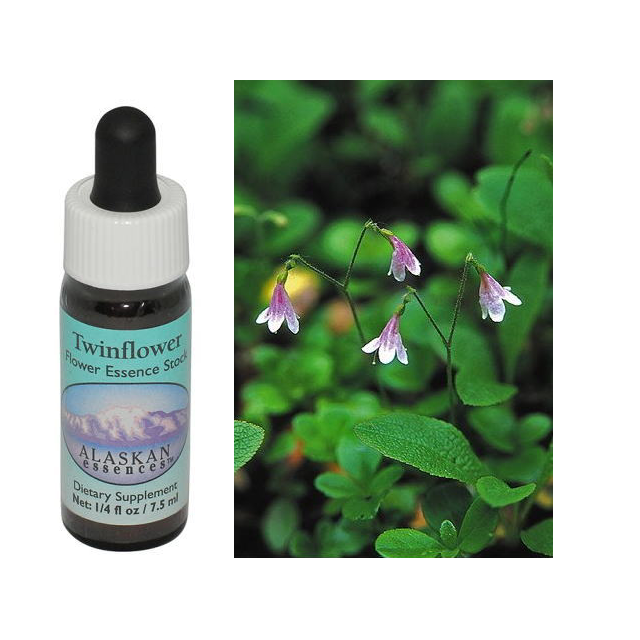 ストップアンドドロップス ラブズアルケミーエッセンス