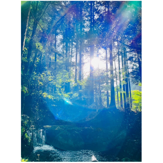 愛・Light