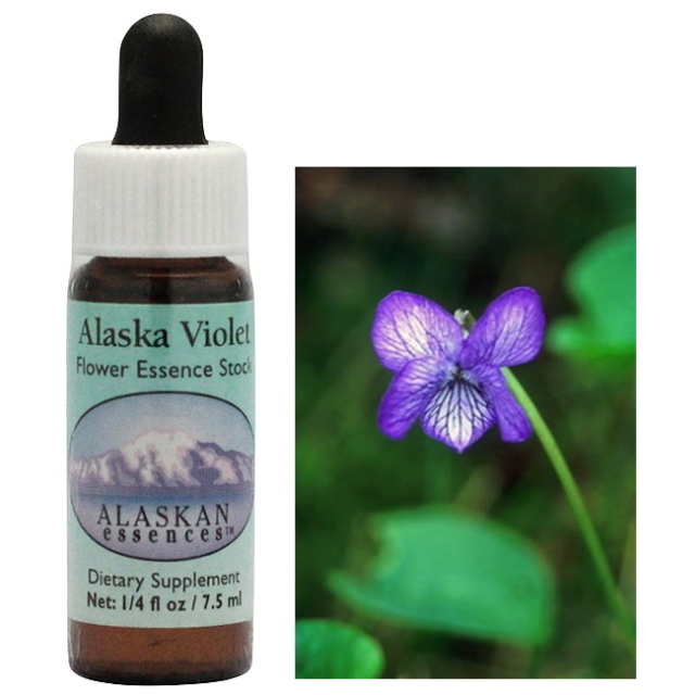 イエローバイオレット アラスカンエッセンス リサーチ