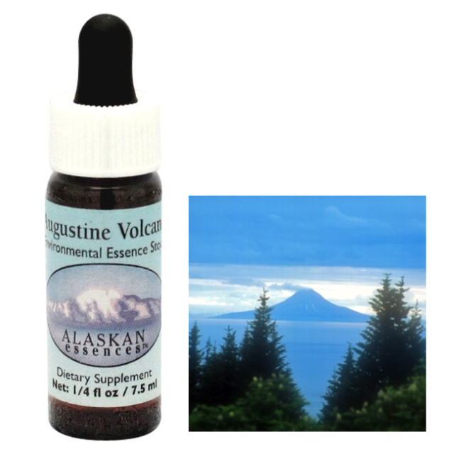 ラブラドールティー アラスカンエッセンス フラワーエッセンス 【ベル