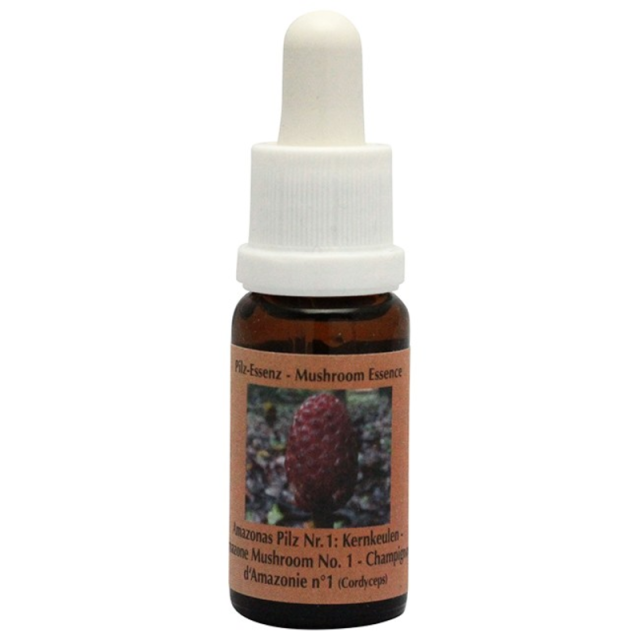 アマゾンマッシュルームNo.1