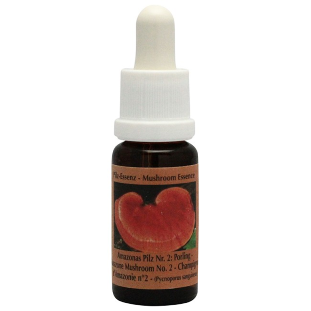 アマゾンマッシュルームNo.2