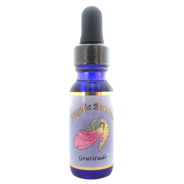 グラティテュード　グラティチュード