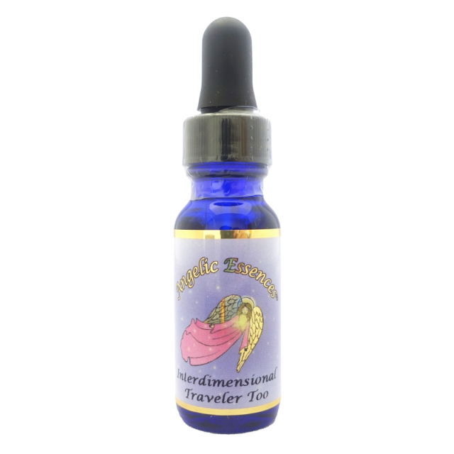 インターディメンショナルトラベラートゥー