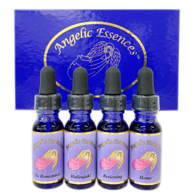 アンジェリックエッセンス Kit16 ホーム・カミング・キット