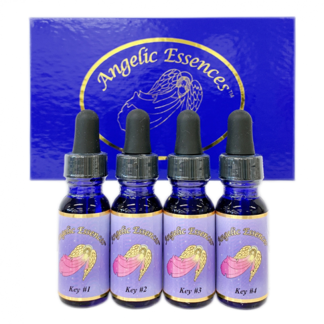 ザ・キー4本キット