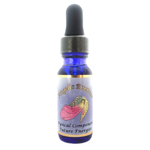 155　フィジカルコンポーネント