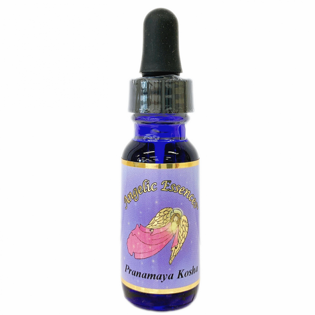 肉体の機能を維持する＜アンジェリック・Kit25＞「211.プラーナマヤ・コーシャ」[15ml]