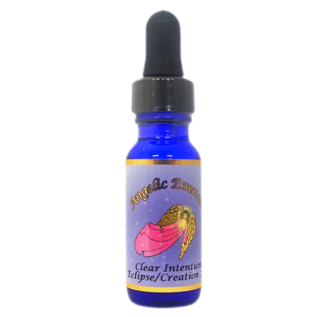 #226クリアーインテンション