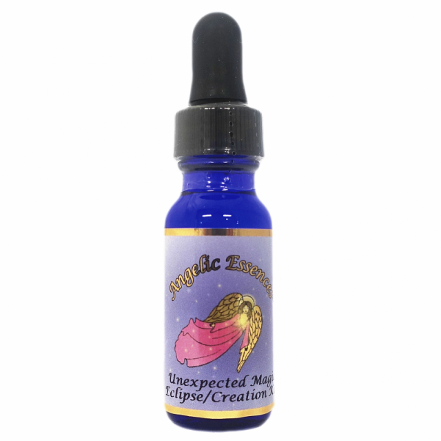 #233アンエクスペクテッドマジック