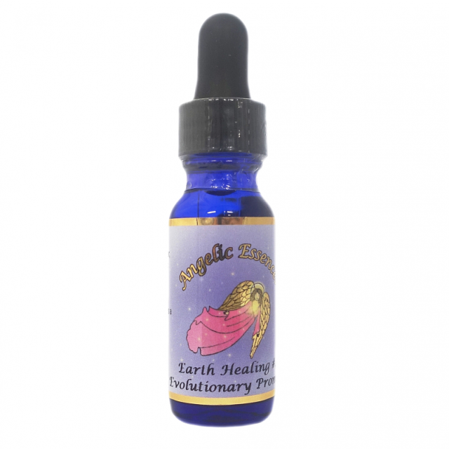 65　エボリューショナリープロミス