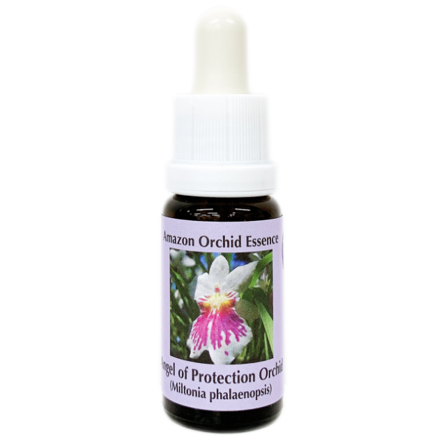 エンジェルオブプロテクションオーキッド