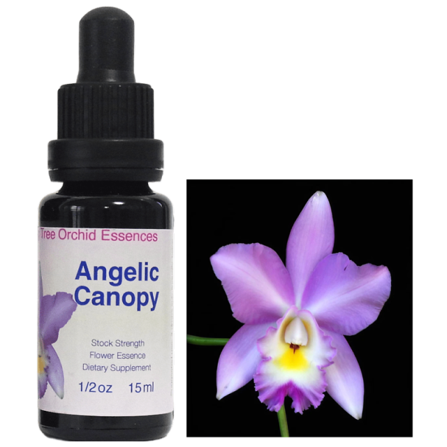 ジャストセンター リビングトゥリーオーキッドエッセンス（LTOE