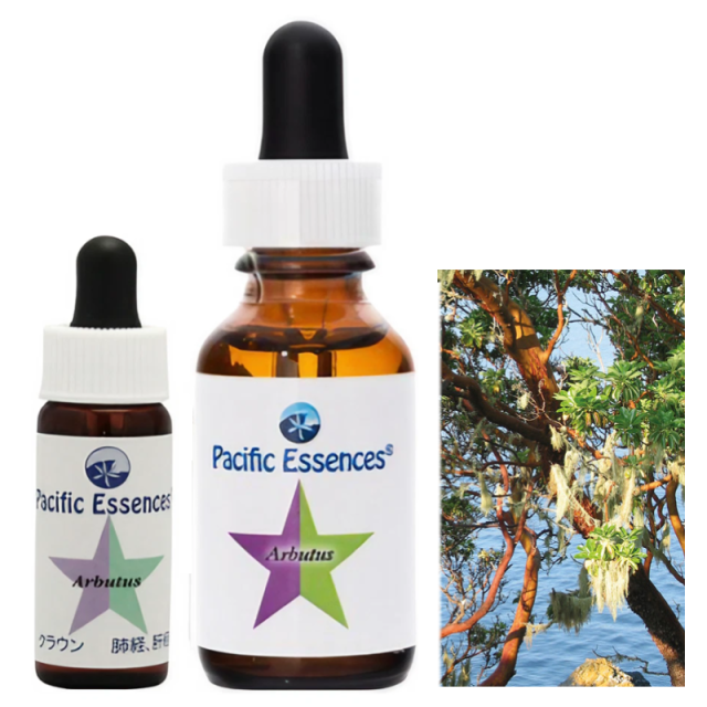 パシフィックエッセンス フラワーエッセンス キット2