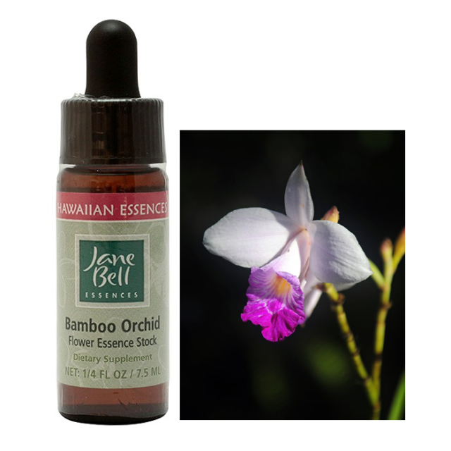 グリーンエッセンス オーストラリアンブッシュフラワー シングル 世界