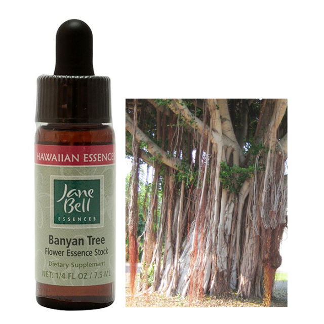 バンヤンツリー