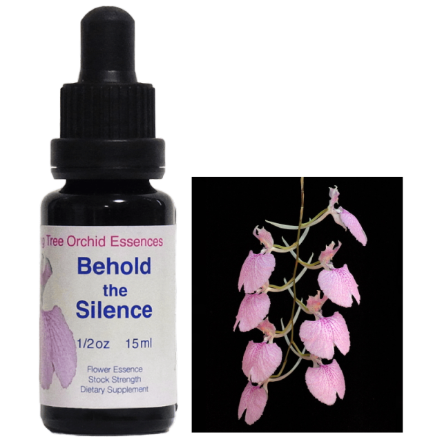 ビホールドザサイレンス