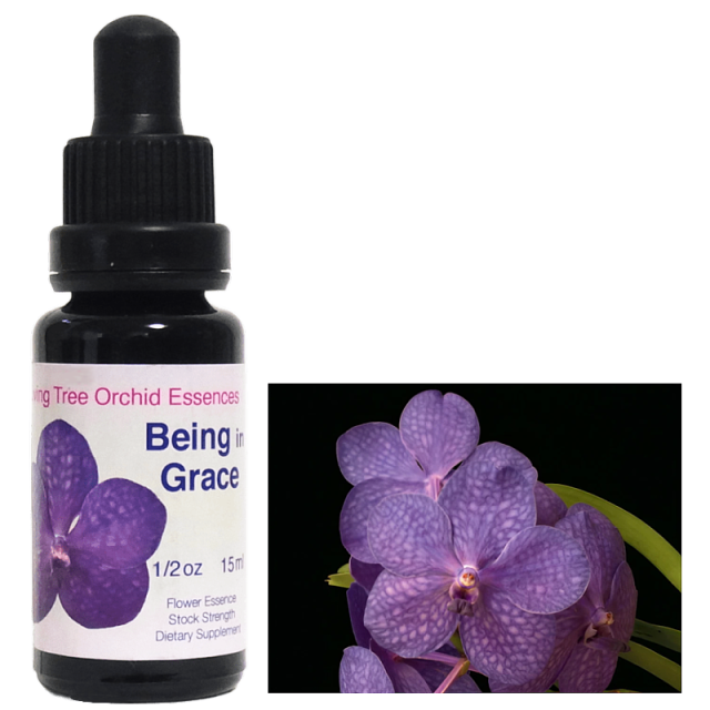 ビーイングイングレース